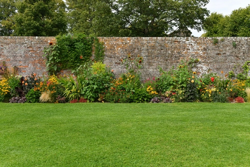 service single images