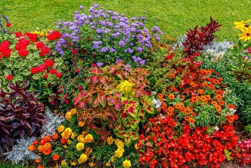 service single images