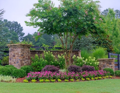 service single images