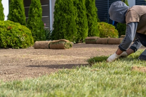 service single images